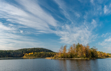 autumn forest with yellow trees on the lake shore
