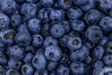 Background of the fresh blueberries