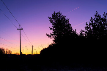 Silhouettes of trees against a pink and purple sunrise sky.