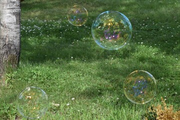 soap bubbles in the grass