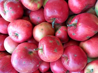 Autumn red apples in November