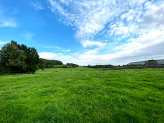 Extensive lush meadow, with trees and hills in the distance in, Sawley, Bolton by Bowland, Clitheroe, UK