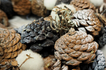 the composition of the brown cones are painted white and large grey petals for Christmas