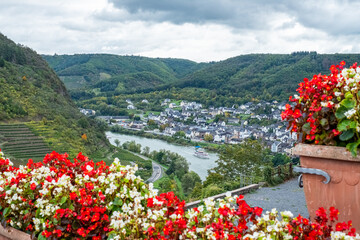 Fototapeta premium Looking down the valley through some beautiful red flowers, Germany 