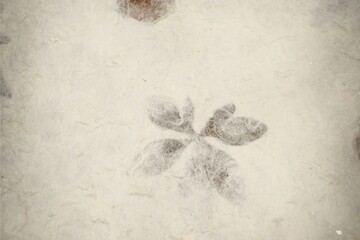 Handmade paper with plants textured vintage background, papier czerpany niepowtarzalna tekstura na tło © Anna