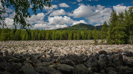 scattering of stones with forest and high hills