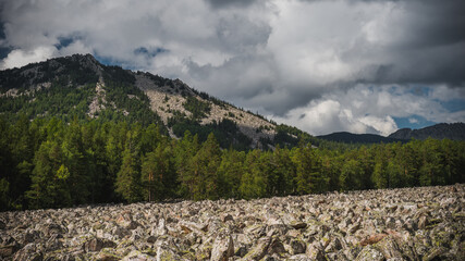 scattering of stones with forest and high hills