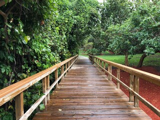 rainy tropical landscape and wooden bridge 