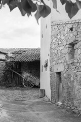 old town house with a courtyard with an ox cart in black and white