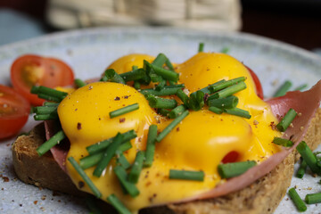 Macro close up of isolated toast bread with ham, chives, tomatoes gratinated with melted cheddar cheese on china dish