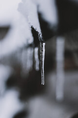 icicles 