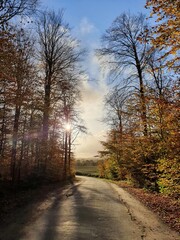 Obraz premium Herbststimmung in Schleswig - Holstein