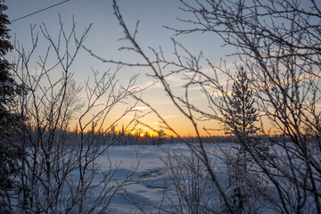 Fototapeta na wymiar Winter landscape at sunset sunrise through tree branches, Russia, far North.