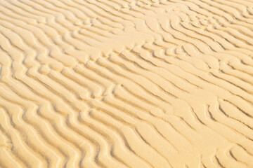 Sand texture on a sea shore. Wavy sand background close-up.