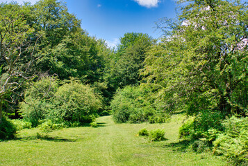 Fototapeta premium The Urbasa and Andia natural park in Navarra