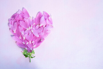 Heart of pink mallow petals on a light background with space for text. Card.