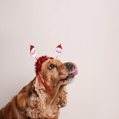 Adorable Cocker Spaniel dog in Santa headband on light background, space for text
