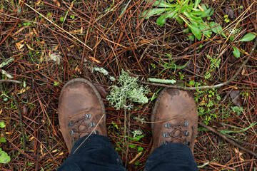 Vista desde arriba de botas de monta&ntilde;a pisando el bosque