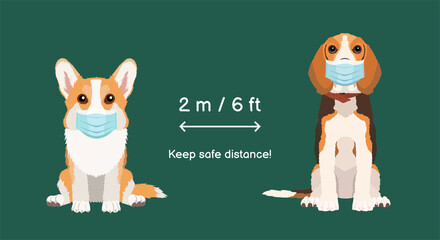 Illustration for veterinary clinic. Coronavirus infection spreading prevention information sign with pets wearing medical masks. Welsh corgi pembroke and beagle on green background