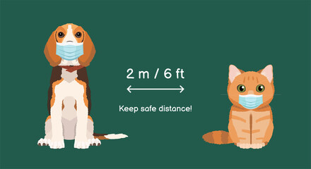 Illustration for veterinary clinic. Coronavirus infection spreading prevention information sign with pets wearing medical masks. British cat and beagle dog on green background