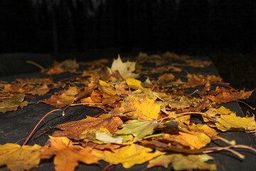 Yellow autumn leaves on a wooden park table at night, close up