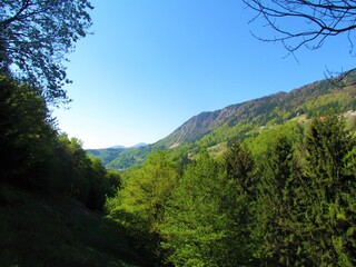Obraz premium view of forest covered slopes under Jelovica plateaou in spring