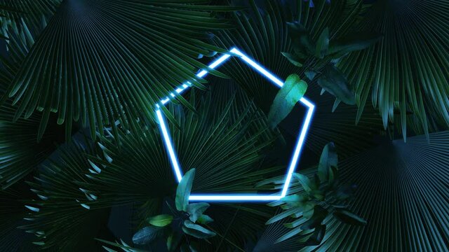 animation of blue pentagon neon light with tropical leaves. Flat lay of minimal nature style concept