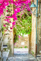 Fototapeta na wymiar beautiful old town of Provence