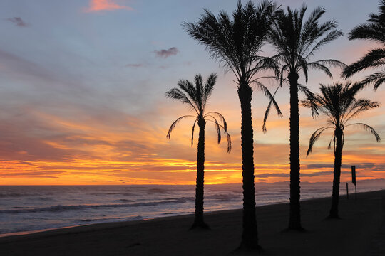 Amazing beach landscape with palms at sunset in Mediterranean Sea.Summer and holidays concept.