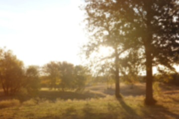 Abstract blurred Texas nature background at sunrise over rural field in landscape.