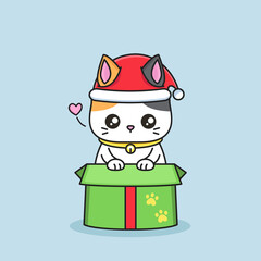 cute cat come out of the present box