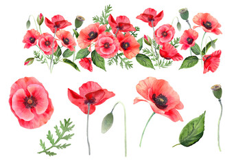 Watercolor red poppy clip art. Set of flower elements and bouquet isolated on white. Hand painting illustration for interior decoration, textile printing, invitation and greeting cards.