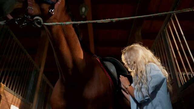 The blonde fixes the saddle on the horse with straps.