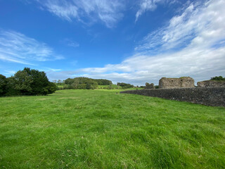 Meadow with long grass, trees, and old stone ruins, set against a blue sky in, Sawley, Clitheroe, UK