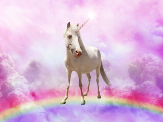Obraz premium Magic unicorn in beautiful sky with rainbow and fluffy clouds. Fantasy world