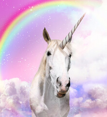 Magic unicorn in beautiful sky with rainbow and fluffy clouds. Fantasy world © New Africa