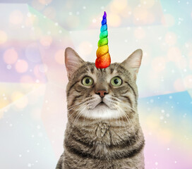 Cute cat with rainbow unicorn horn on blurred sparkling background © New Africa