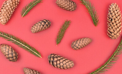 Christmas winter composition of cones and fir branches on red background, pattern. Flat lay.
