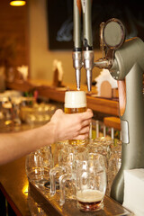 The bartender pours a beer in a beer cups. Draught beer. 