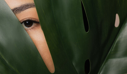Fashion photo natural cosmetics, eye lashes Asian young girl looks through green monstera leaf © Parilov