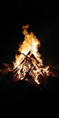 fire burning in the fireplace