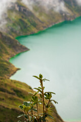 beautiful landscape lake inside crater, quilotoa, ecuador