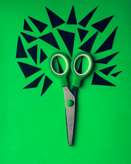 scissors and a paper