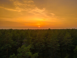 Aerial view of an orange sunset over the forest