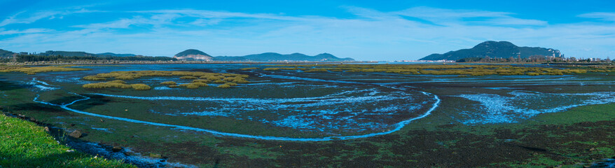 Low tide, Marismas de Santoña, Victoria y Joyel Natural Park, Colindres, Cantabria, Spain, Europe