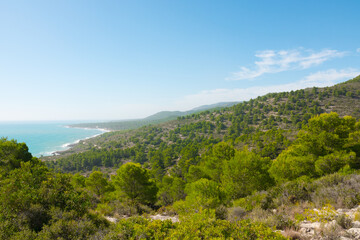 Fototapeta na wymiar Mediterranean sea and pine forest on a sunny summer day. Beautiful spanish coast.