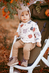 little happy boy with baby carriage in autumn park
