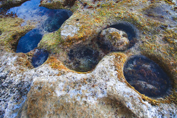Hoyos con agua y verdín en formación rocosa