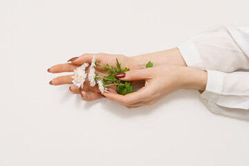 White flowers that are held by female hands.