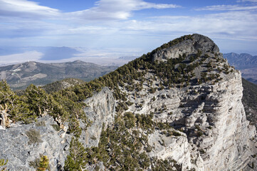 Gnarled Pines On the Ridge To The Toe Of Mummy Mountain